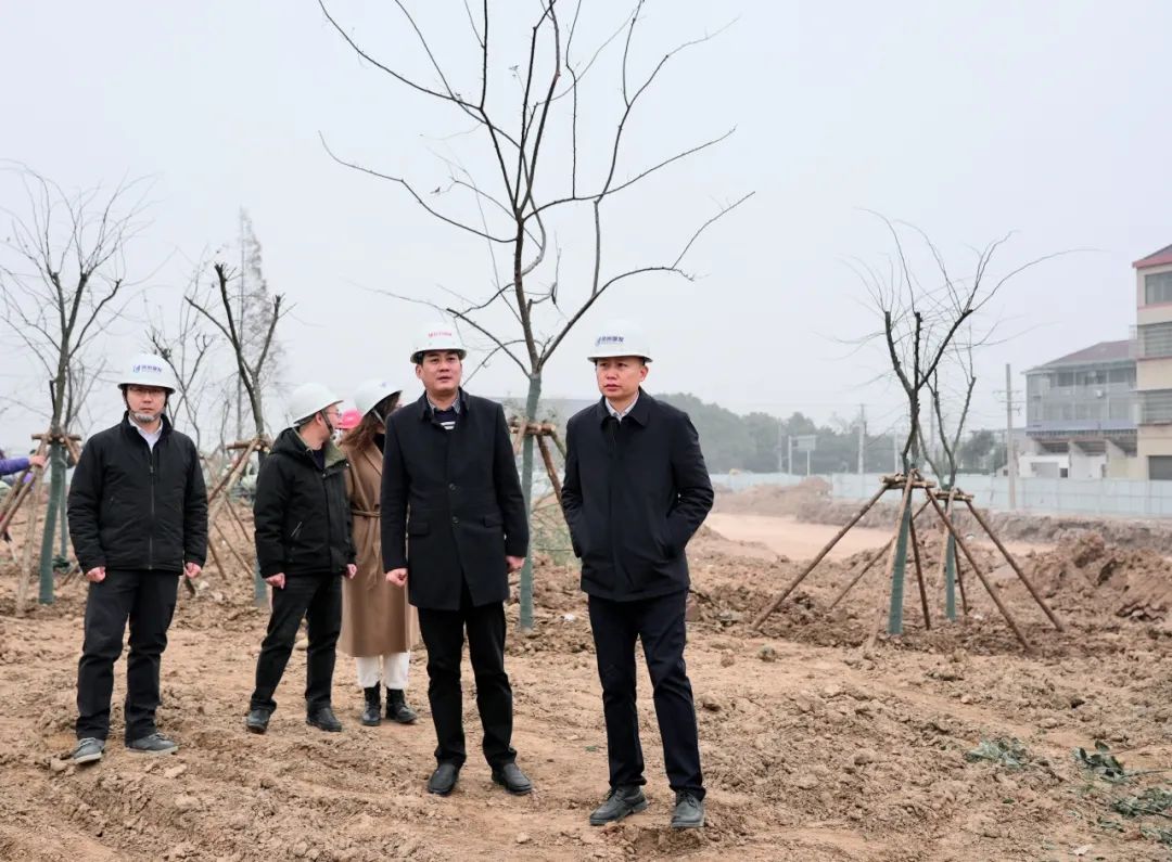 張云飛率隊調(diào)研白云園林公司 聚焦在建項目與樹木種植經(jīng)營，推動綠色發(fā)展新篇章